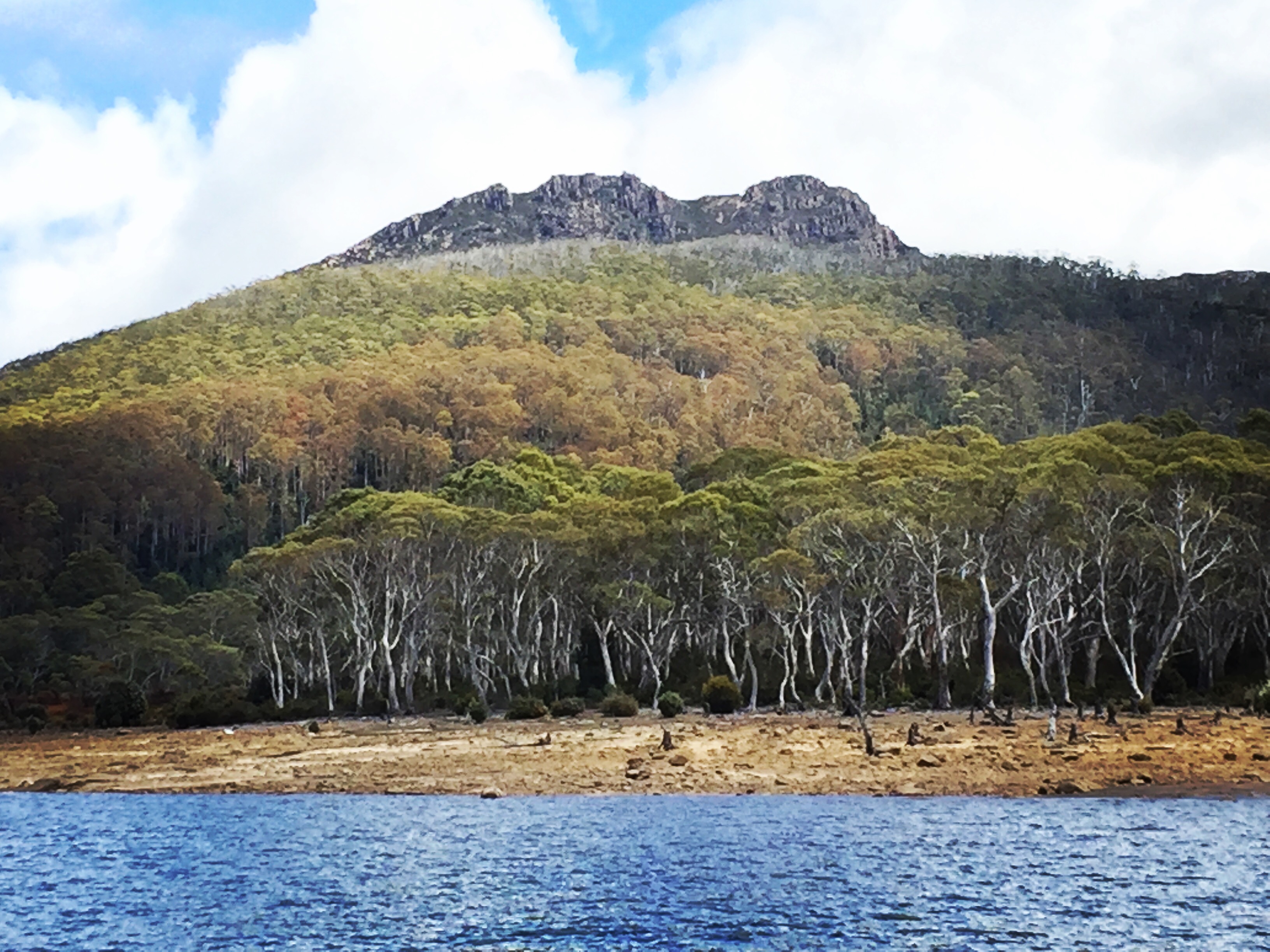 The fish and the landscape of Tasmania couldn't compete