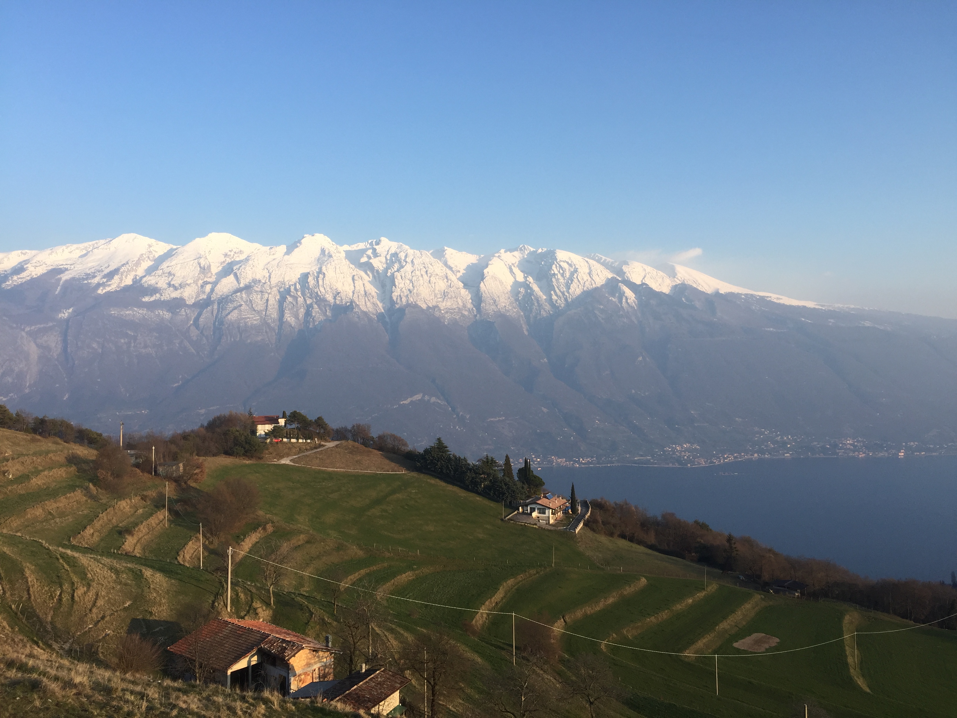 My son and his Italian nest